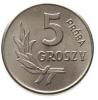 5 groszy